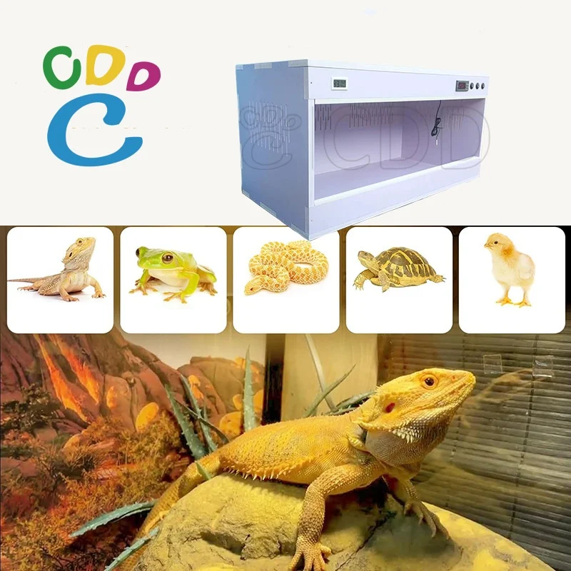 snake collapsible reptile enclosure tall pvc 120*60*60 large 6ft 3x2x4 6 foot 120 gallon stackable