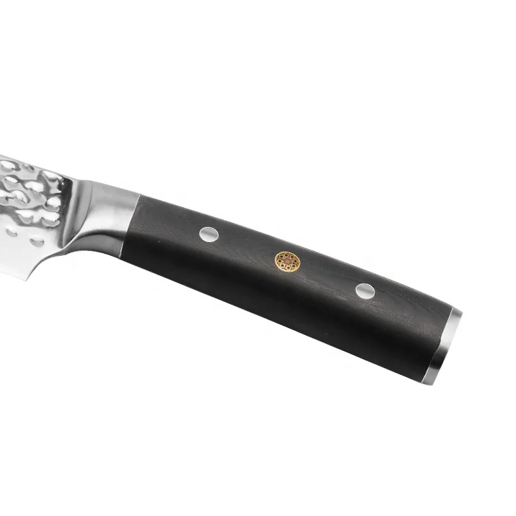 8 inch Professional Grade Japanese Damascus 67 layers Stainless Steel Chef Knife with Hammered Finished VG-10 handle