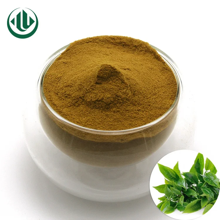 Китайский порошок зеленого чая, чистый экстракт зеленого чая EGCG, полифенолы, порошок готов к отправке