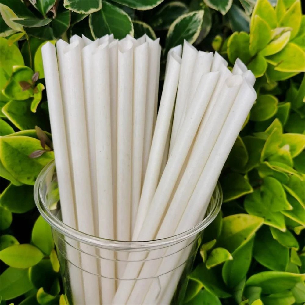 Customized 5 6 7 8 10 12mm Compostable Vegetable Fiber Sugarcane Bagasse Straw Bio Degradable Sugar Cane Disposable Drink Straws