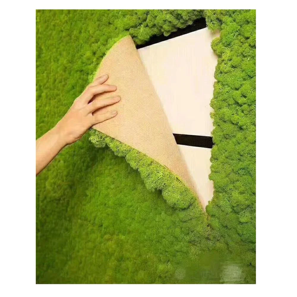 Wholesale Customized Interior Decoration Office Green Wall Panels Reindeer Preserved Moss A Grade Moss
