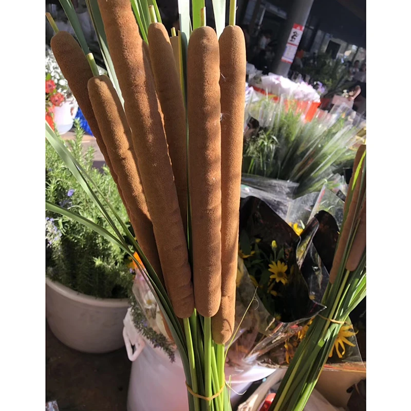 Hot Seller Natural Dried Flower Reed Aquatic Plant Decoration