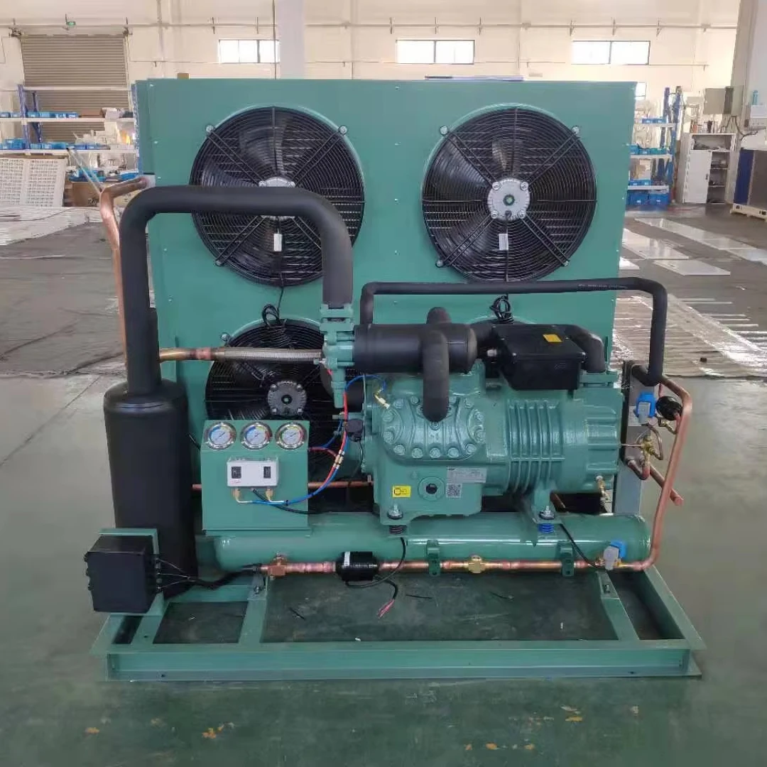 RuiXue Hot Promotion Air-Cooled Condensing Unit Highly Efficient and Effective Condensing Units