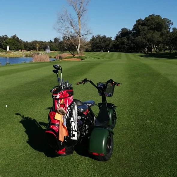 3 wheel tricycle citycoco electric scooters motorcycle 2000w 20ah golf course