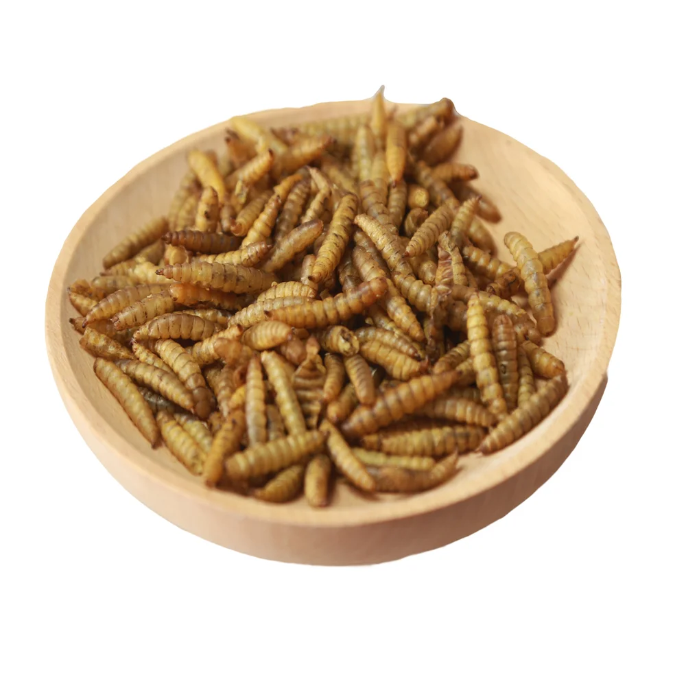 Сухая замороженная мушка черного солдата сухая для курицы птицы лягушки и