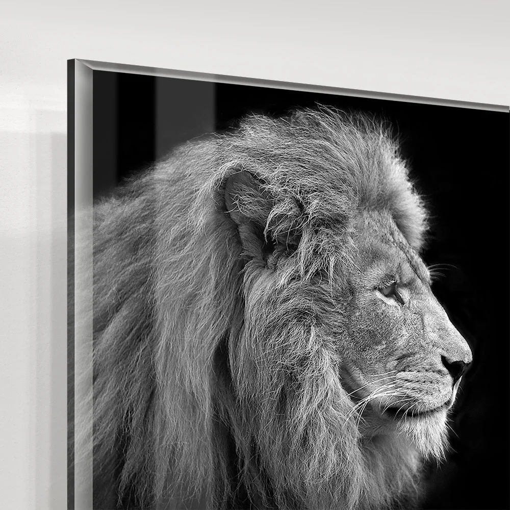 Best Selling Crystal Clear HD Animal Lion Acrylic Wall Art Prints Canvas Art Frameless Acrylic Painting Oil Painting for Bedroom