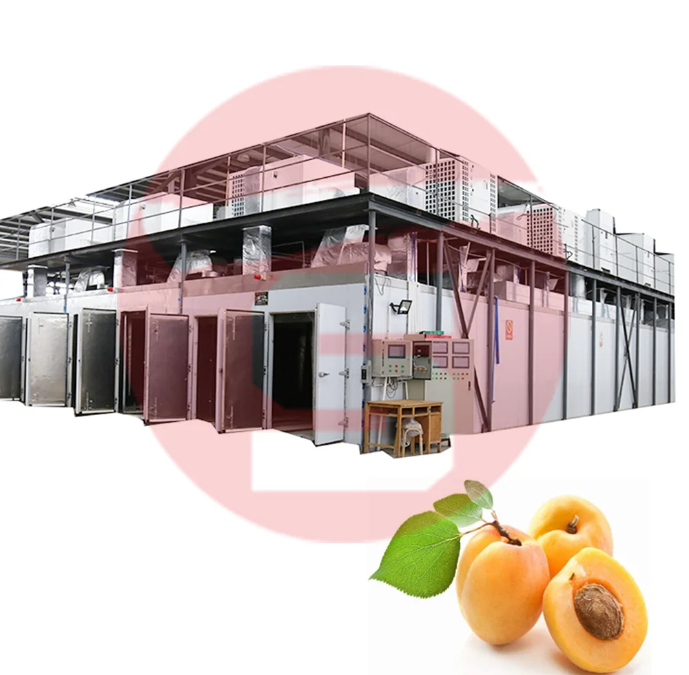 Горячая Распродажа фрукты сушилка машина абрикос изюм сушильная машина технологическая линия