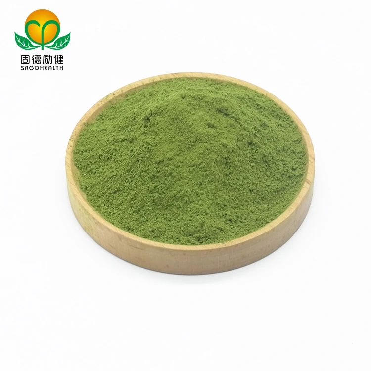 GMP Factory Supply Green Tea  Organic Matcha Powder