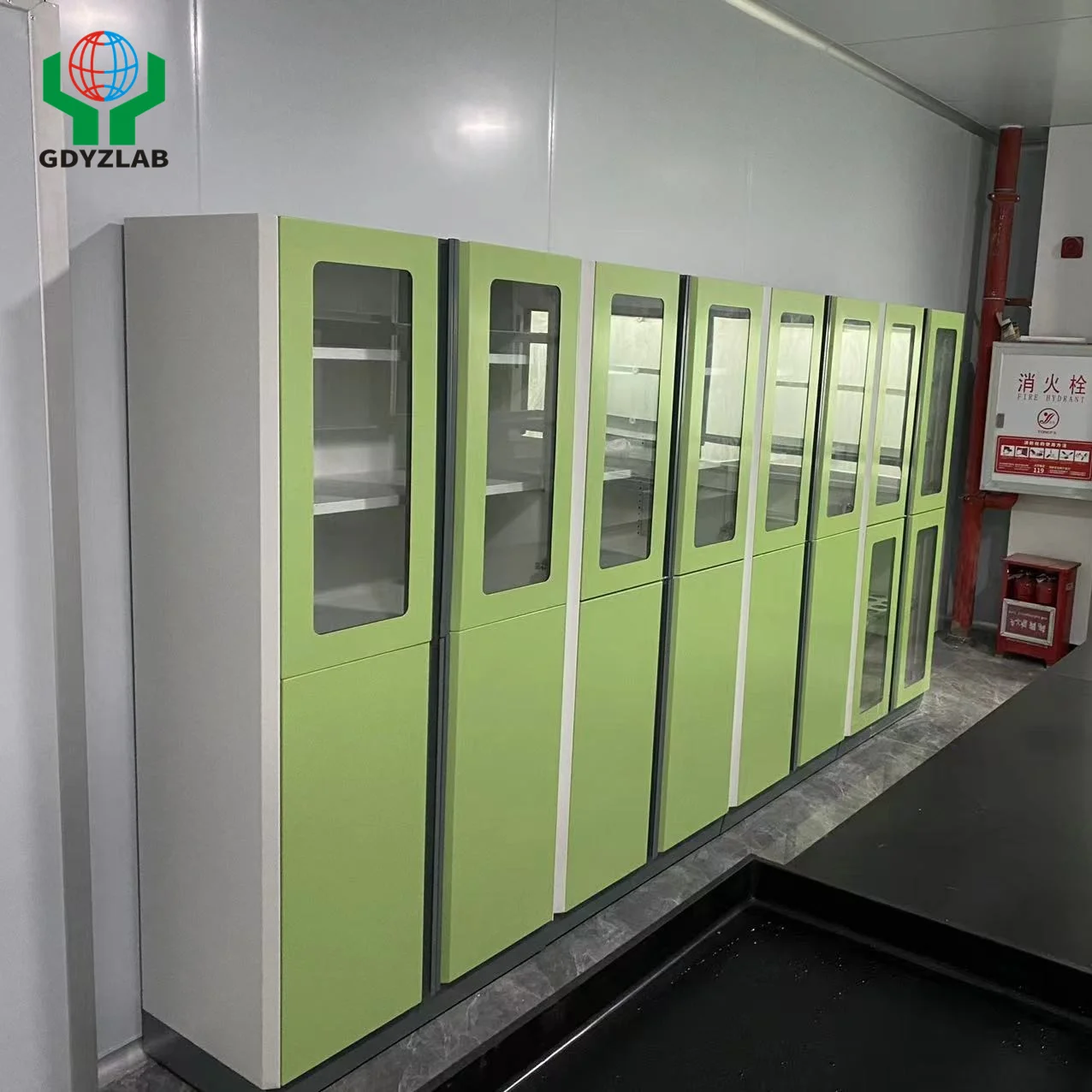 Chemical Reagent Storage Cabinet Ventilation System All Steel Reagent Storage Cabinet for Laboratory