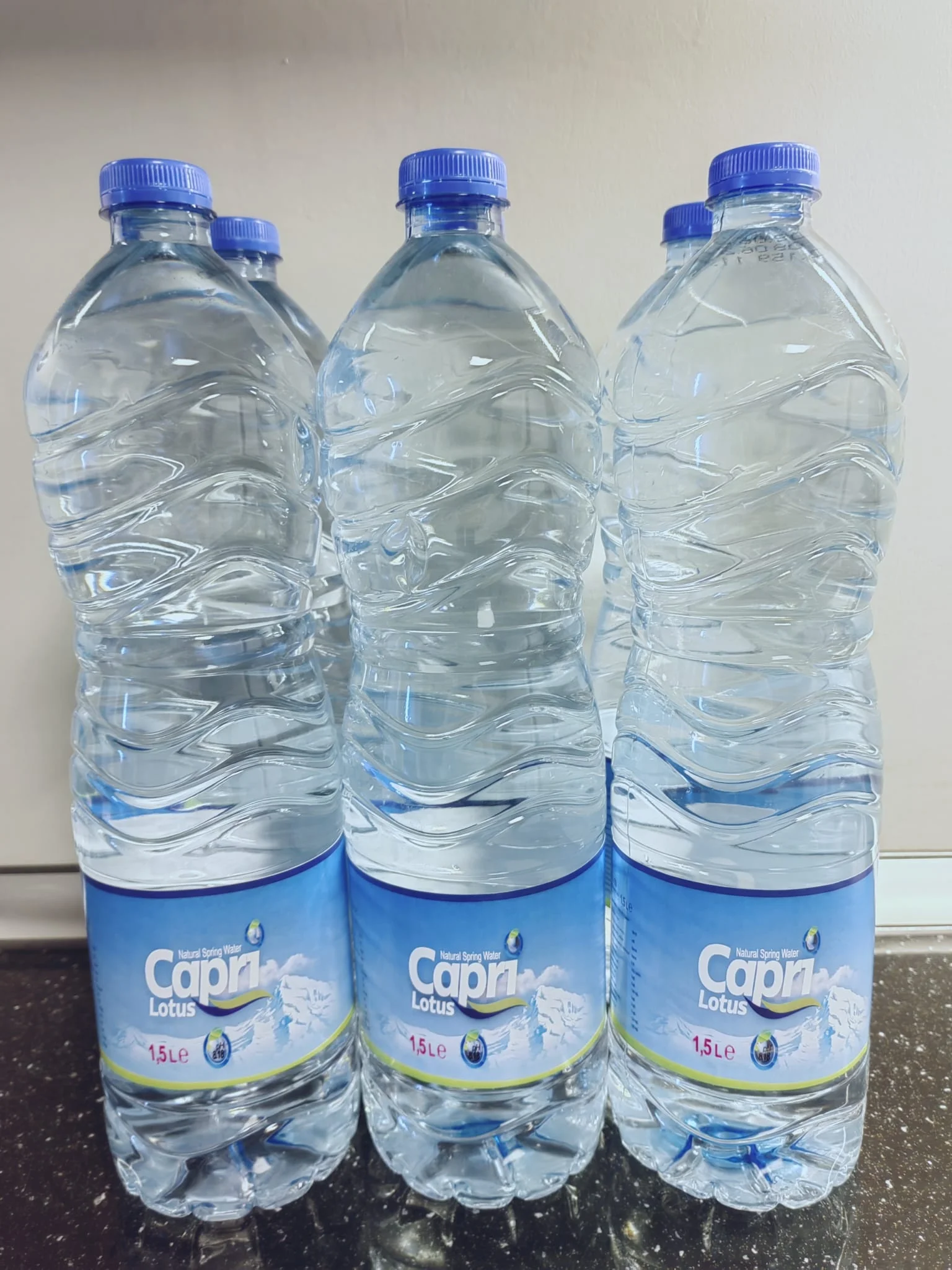 LOTUS CAPRI NATURAL SPRING WATER 0.2 LT High Quality Clear Water Mineral Water Bottle Soft Drink from Turkey  Best Price