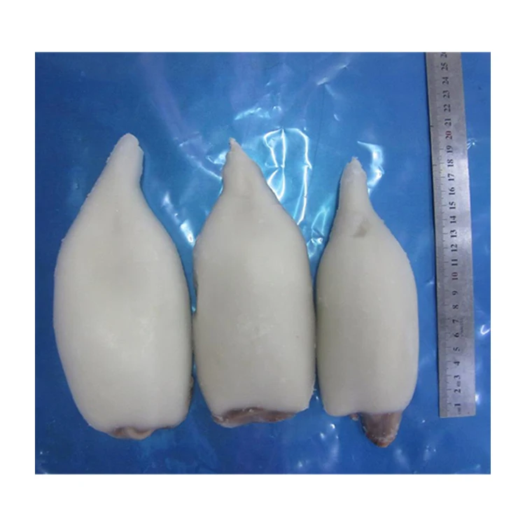 Factory Direct Sale Sttp Treated Whole Cleaned Squid Whole Cleaned Squid U3 U5 U7 U10 whole cleaned squid for wholesale