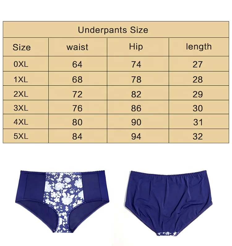 Upgraded Women Hipsters Sheer Scallop Contrast Lace Embroidered Breathable Print Period Panties Plus Size Briefs Panty for Women