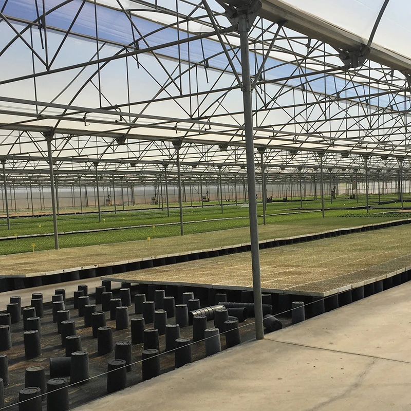 Пленочная теплица сельскохозяйственная ферма