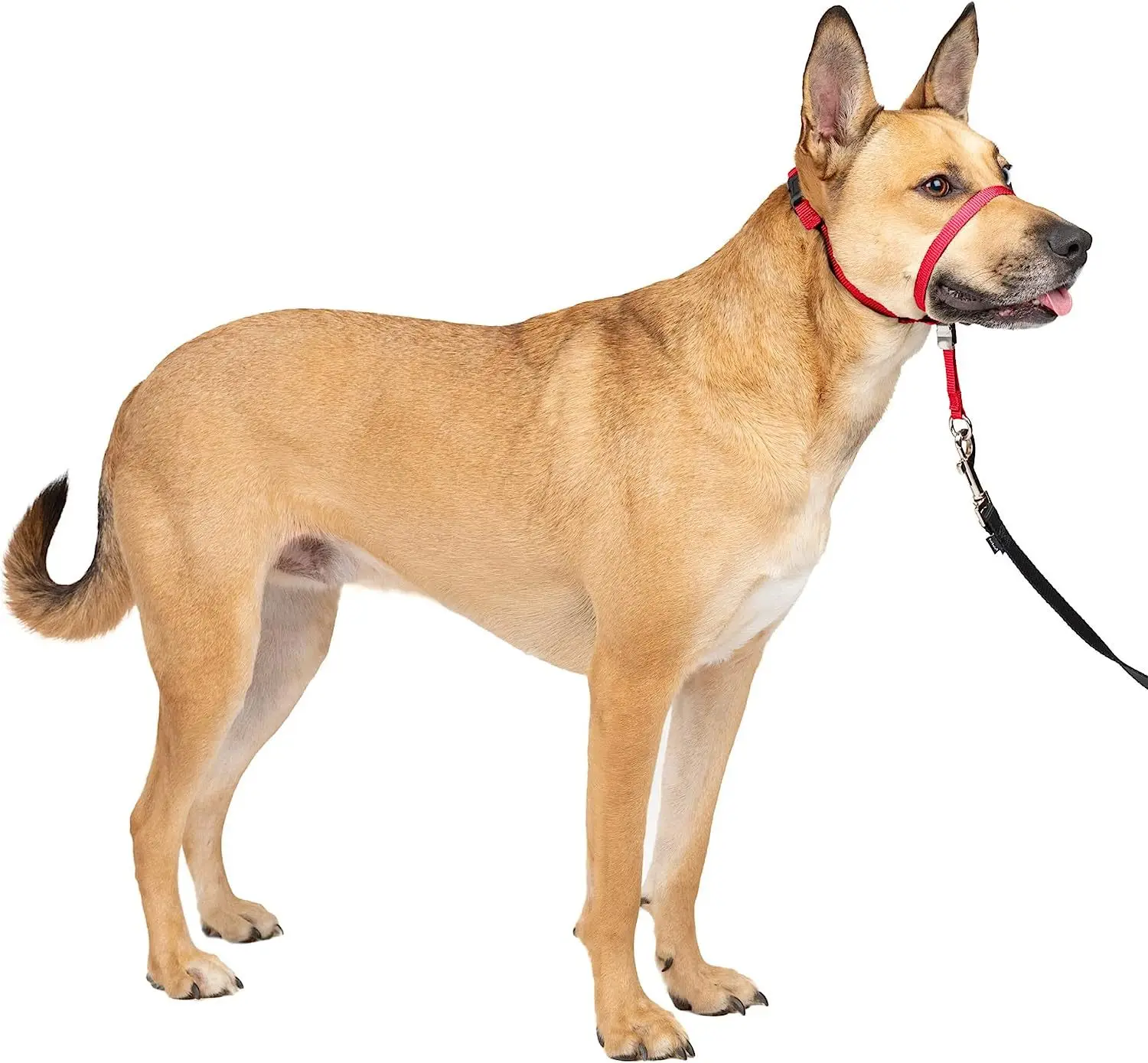Wholesale Dog Muzzle Gentle Leader No-Pull Dog Headcollar Adjustable Anti-Barking Biting Dog Leash and Muzzle