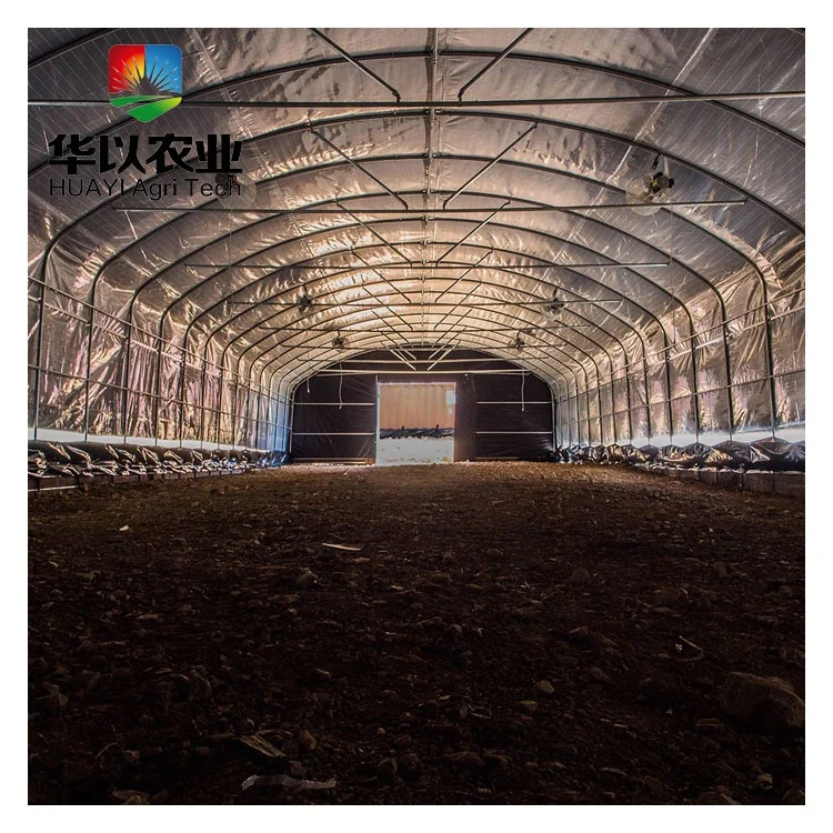 High Quality No Soil Hydroponic System For Medical Hemp/ Hydroponics Agriculture Plant Cultivate Greenhouse