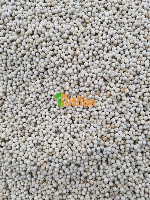 Лидер продаж с завода высокое качество и Лучшая цена натуральный вьетнамский белый перец двойная стирка