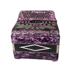 34 кнопки, 12 басов, 3 записи, фиолетовый студенческий гармодеон, музыкальные Аккордеоны JB3412B