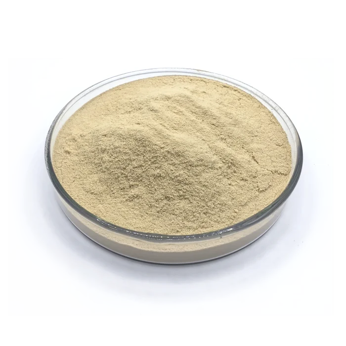 protein Enhance High Fiber Powder beer Food Ingredient Flavor Beer nutritional yeast extract powder