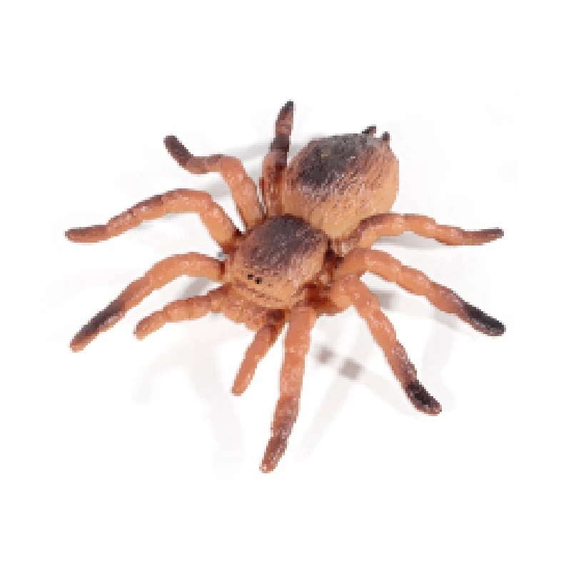 7.5CM Arthropod Animals Model 3D Insect Series Plastic Rubber Yellow Color Scorpion PVC Toy For Sale