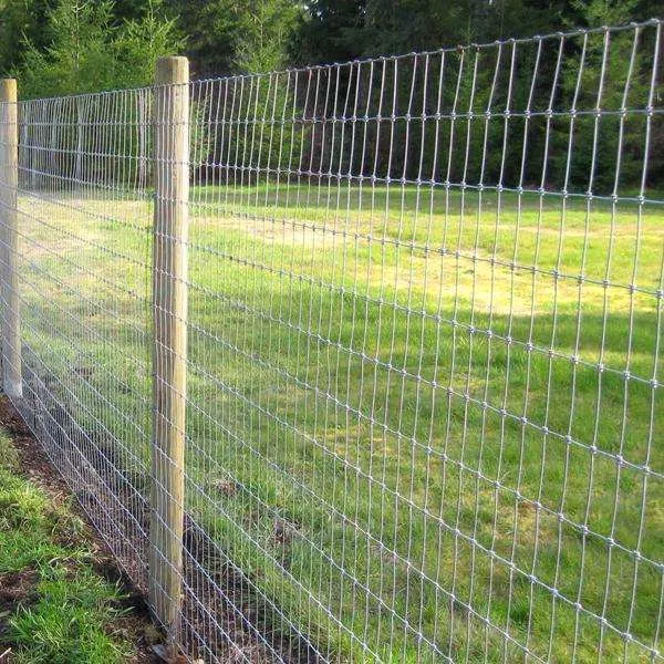Galvanized Horse / Sheep Wire Cheap Cattle / Field Fencing Livestock Wire Grassland Fence
