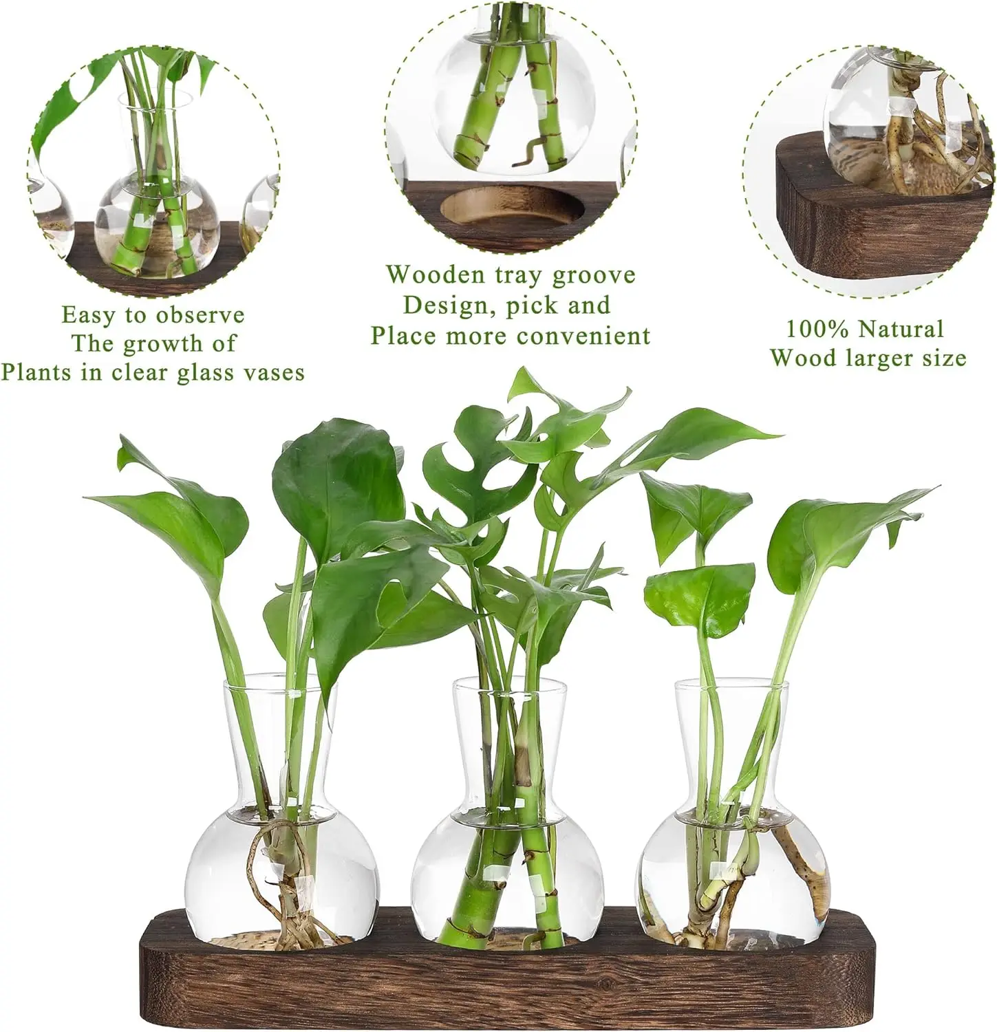 Retro Plant Terrarium with Wooden Tray
