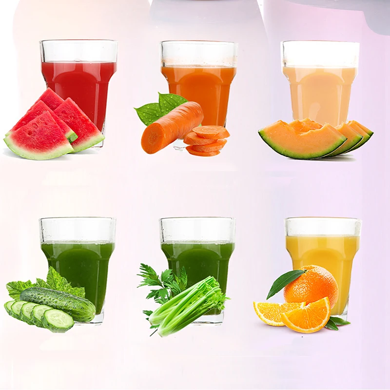 Home Appliances Fresh Fruit Electric Juicer Extractor machine Portable Slow Juicers