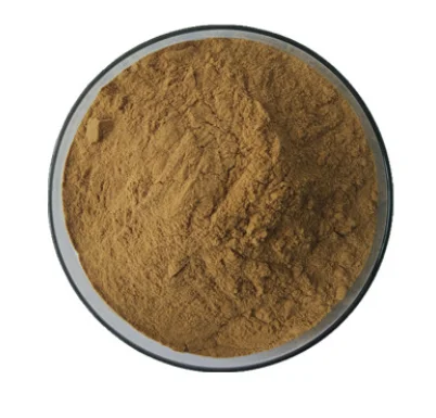 Organic Dong quai root extract powder Artemisia lactone Dong quai root Powder