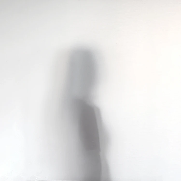 Frosted Cling Waterproof Window Film sheet