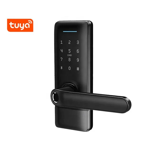Philippine Electronic Fingerprint Digital Remote Control Door Lock