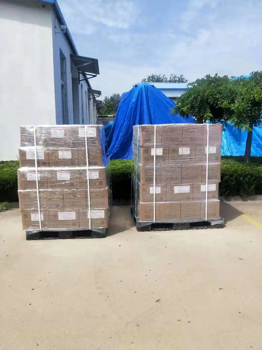 SKHZYE-OCE90 - Paper Making - Buy Alkaline Xylanase Enzyme