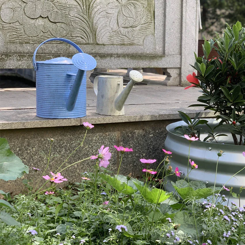 Modern Style Factory Price Promotional Wholesale Metal Garden Pots Watering Can for Outdoor Indoor House Plants