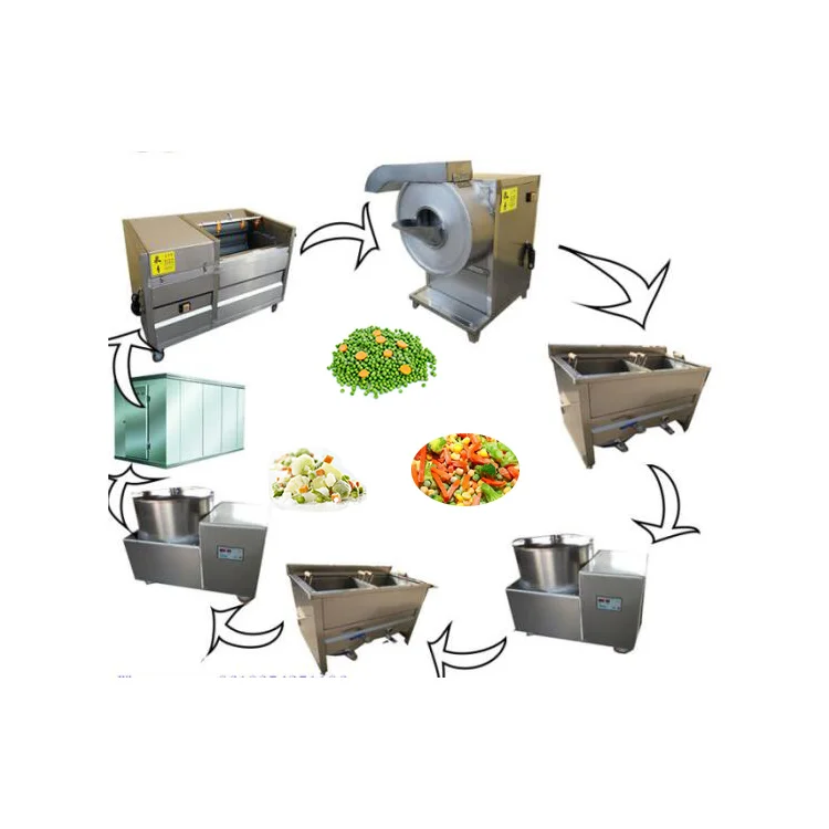 
Industrial Fruit and Vegetable Sorting Washing Cutting Cooling Conveying Processing Line 