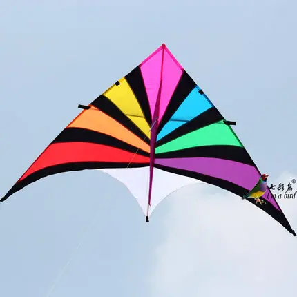 China outdoor sport 2.8m large delta kite