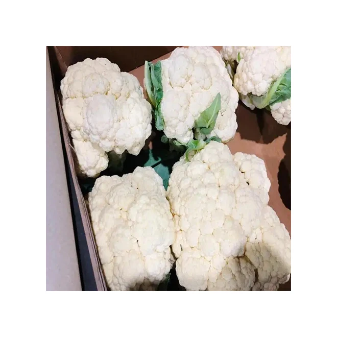 Фирменная этикетка египетского качества, свежие овощи, капуста, брокколи, оптовая продажа