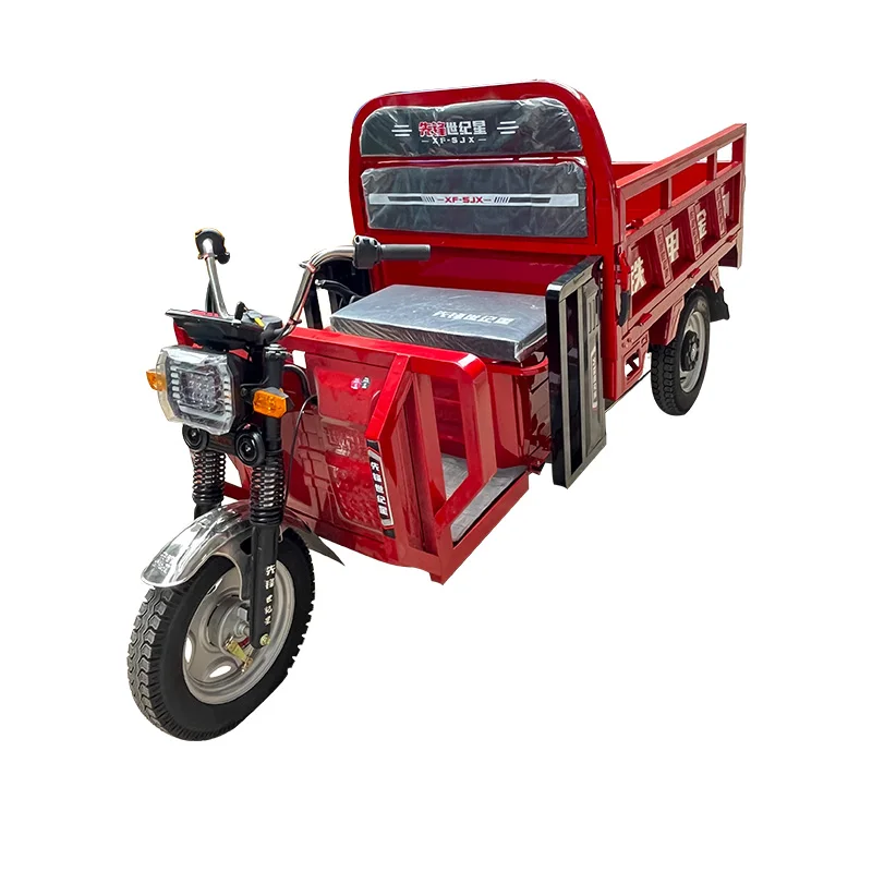 Low Price 1000W Motor 3 Wheel Bike Fast Electric Tricycle For Adults