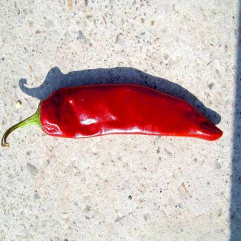 Новый укороченный низкий острый Шу Сушеный Красный горячий чили Jinta. guajillo chilliJinta красный Jinta