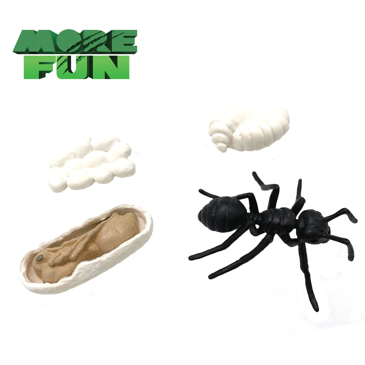 Morefun Solid PVC Simulation Insect Model Plastic Animal Toys Educational Teaching Tools Ant Life Cycle Toys
