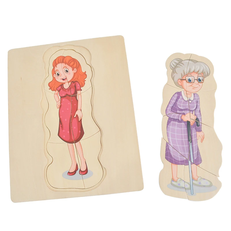 Wooden Toddler Toys Ready to Ship Man Grow up Body Structure Jigsaw Learning Wooden Toy 5 Layer Puzzle