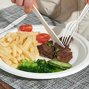 BIOSANO Custom Sugar Cane Fibers 10 Inches 3 Compartment Parties Wedding Special Events  Bagasse Food Container Round Trays