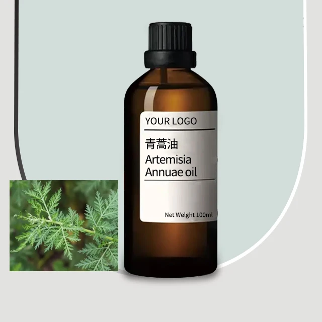 Manufacturer Artemisia Annuae Oil Natural Plant Oil for Aromatherapy Massage Skin Care