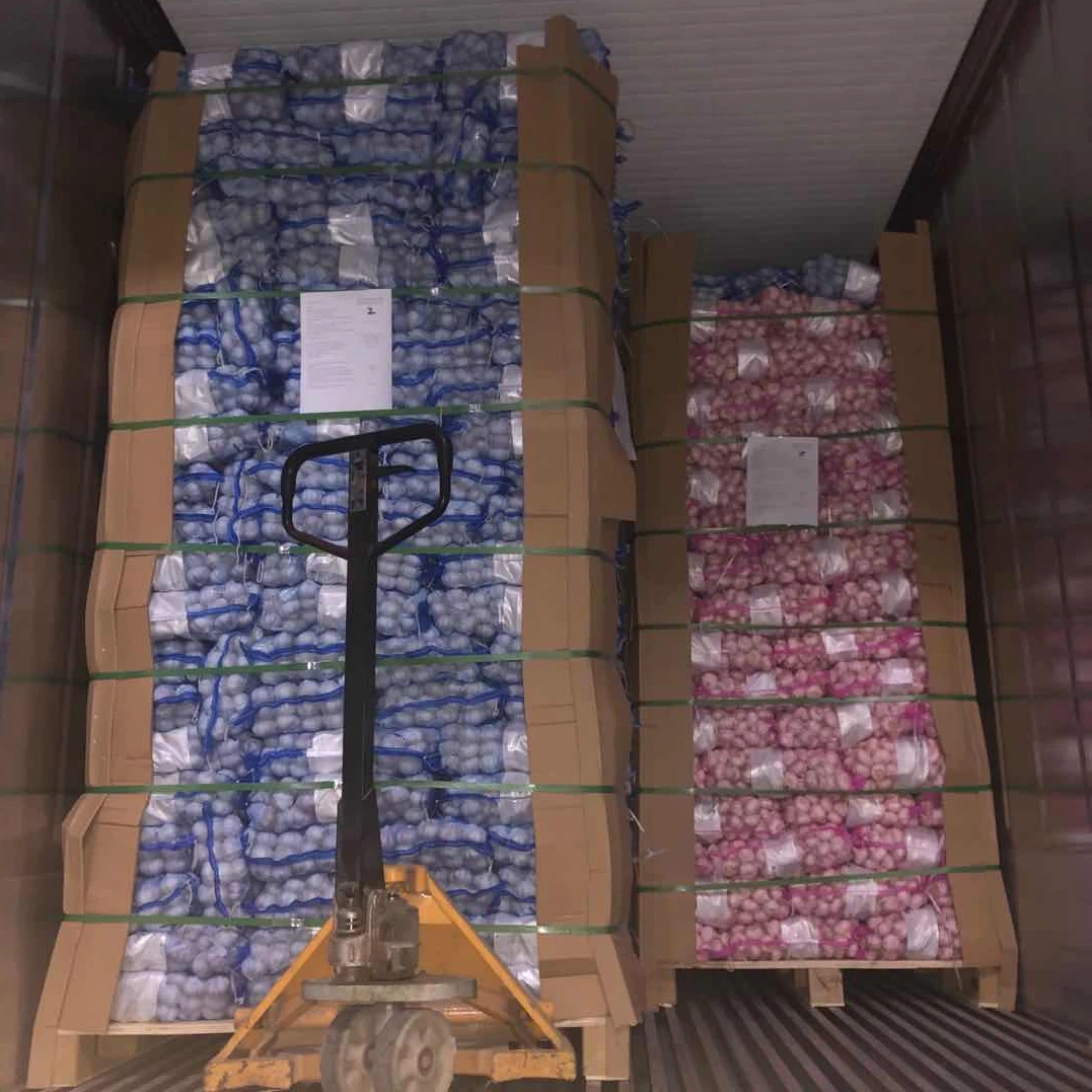 Alho Fresco 10kg Box Packing Fresh China 2023 Crop Garlic Price