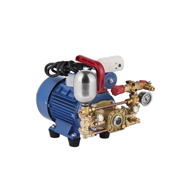 High-Pressure Double Cylinder Plunger Pump for Portable Pesticide Sprayer