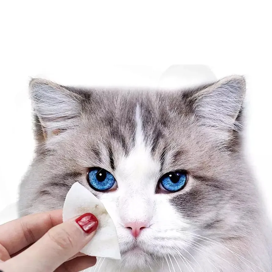 Custom Pet Wipes Canister Private Label Organic Pet Wipes Natural Non-woven Fabric Pet Cleaning Wipes