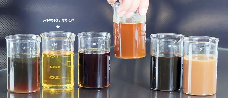 edible refined fish oil.jpg