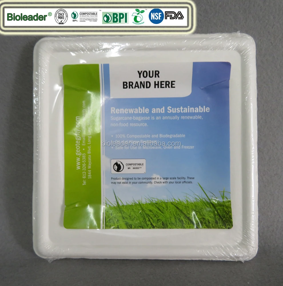 Biodegradable BPI Certified Disposable 7-10 Inch Sugar Cane Paper Dish White/Brown Round Plate Eco-Friendly Alternatives