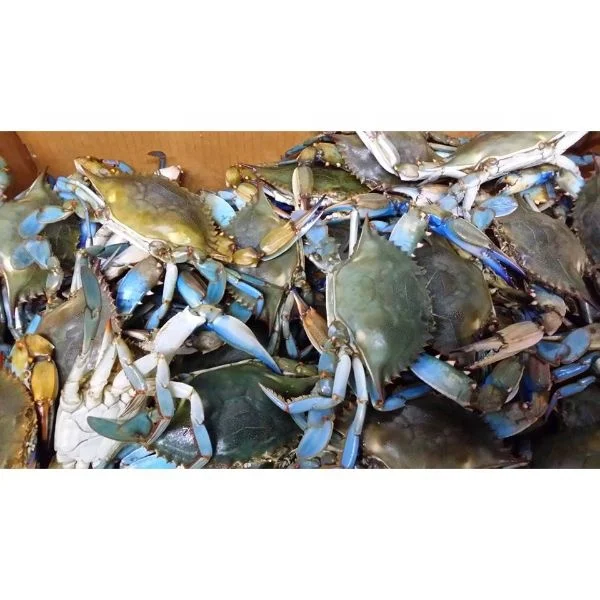 Frozen seafood seller/frozen blue crab