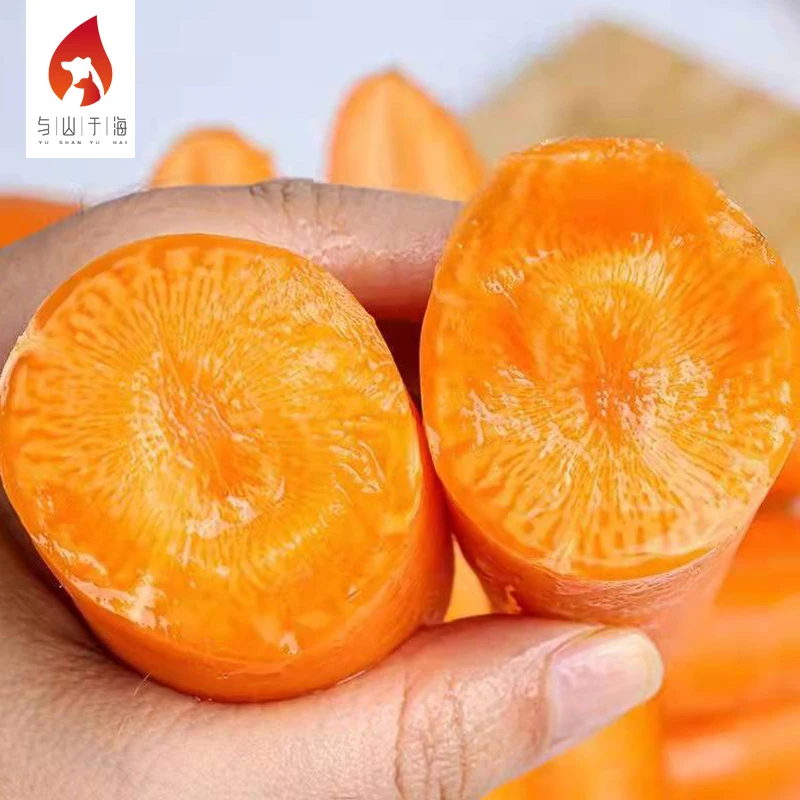 China Export Manufacturer Supply Fresh Vegetables Carrot Fresh Carrots