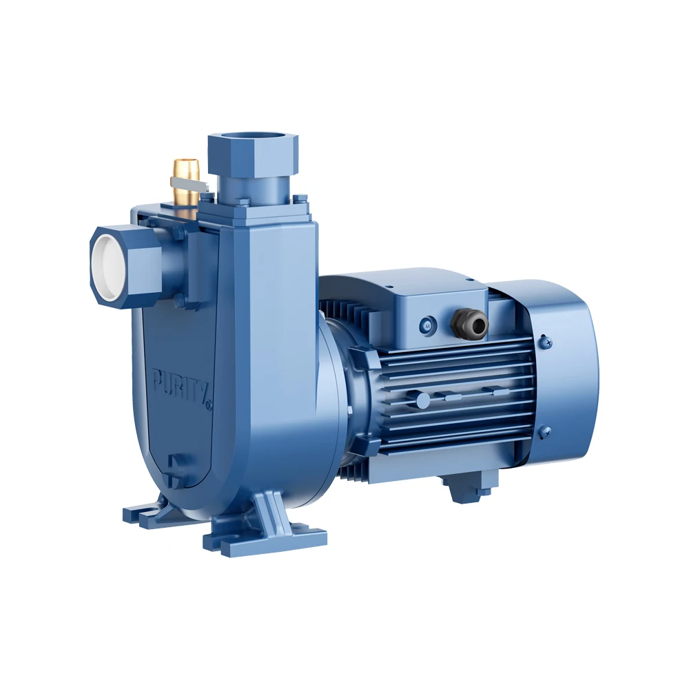Large Centrifugal Pump Flow Rates,1.5hp,2.2hp,3hp Self-priming Centrifugal Surface Pump