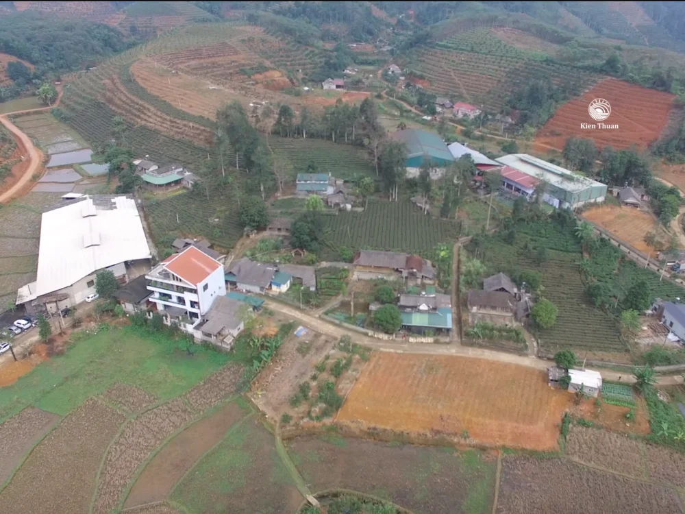 
Black tea factory selling premium quality broken tea leaf black tea PS 