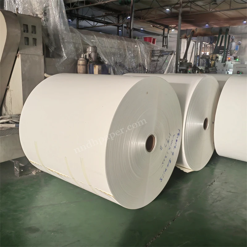 Eco-Friendly Flexo Offset Printing Raw Material PE Coated Paper Roll For Paper Cups Bowl
